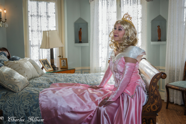Briar Rose sleeping beauty