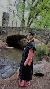 LOTR Elrond at Castle Dunafon (2)